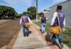Com ações preventivas e campanhas, Dourados reduz os casos de Chikungunya